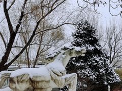 -莲花池公园