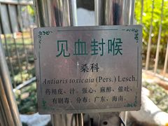 -广州神农草堂中医药博物馆