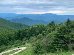 -白草畔自然风景区
