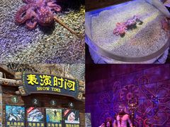 -哈尔滨波塞冬海底世界