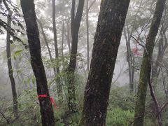 -塔云山
