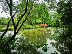 -西溪国家湿地公园