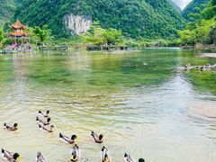 -靖西鹅泉风景区