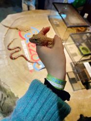 -酷嗒动物文化乐园(cutezoo西溪乐天城店)