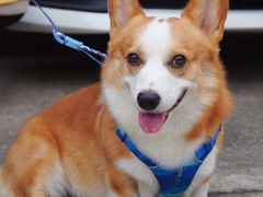 -鲤鱼塘农家山庄