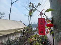 -伴山茶苑·围炉煮茶