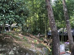 -藏龙百瀑漂流