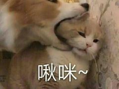 -鲜果搭(联合广场店)