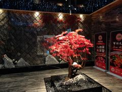 -红辣椒·川菜·火锅(大洋中心店)