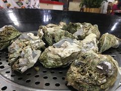 -蚝专家(北滘店)