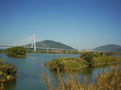 -芒洲湿地公园