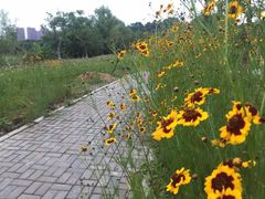-福州大学(旗山校区)