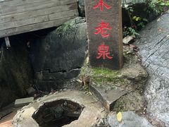 -九龙潭景区