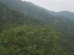 -北京鹫峰国家森林公园