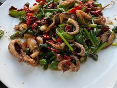 干煸八带-彬彬菜馆