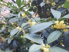 -boundaries籬苑(瑞光创意工厂-贰号院店)