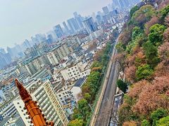 -黄鹤楼公园(黄鹤楼)