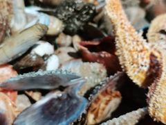 -永红源啤酒·烧烤·海鲜·大排档(青特城店)