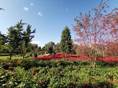 -吉林大学(前卫南区)