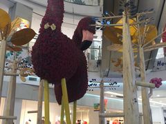 -凯德广场(学府店)