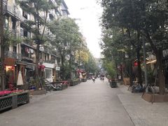 -泡桐树街