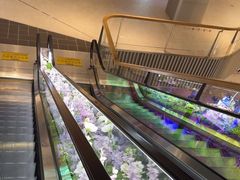 -巴黎春天(陕西路店)