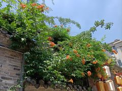 -回龙窝历史文化街区