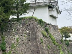 -名古屋城