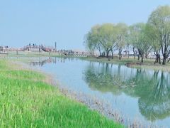 -苏州太湖湖滨国家湿地公园