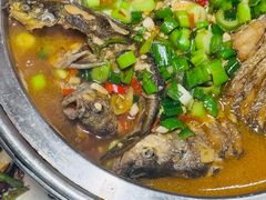 -全乐鱼馆·淳牌有机鱼直营店