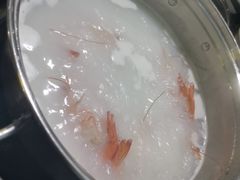 -蚝专家