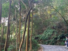 -广州市帽峰山景区
