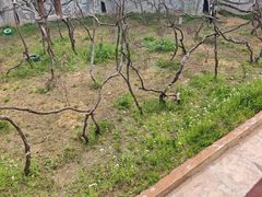 -杭州野生动物世界