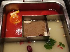 -鼎膳常火锅(华阳店)