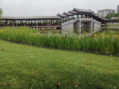 -西海子公园