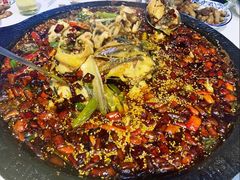 -大江美蛙鱼火锅(都江堰店)