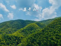 -莫干山风景区