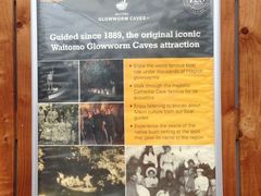 -怀托摩萤火虫洞