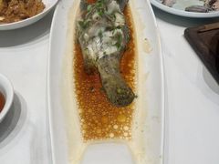 -阿毛饭店·宁波老字号(儿童公园旗舰店)