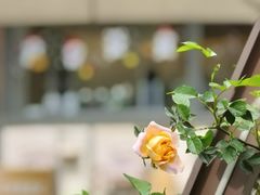 -Beans Solo豆号咖啡(百家湖花园店)