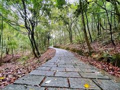 -广州市石门国家森林公园