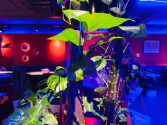 -黄尚皇小龙虾-螃蟹-烧烤工坊(皇后公园店)