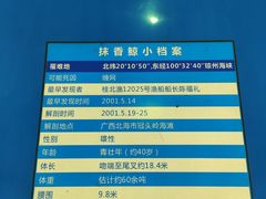 -上海海洋大学鱼文化博物馆(军工路校区)