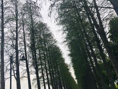 -东湖生态旅游风景区