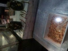 android_upload_pic-古徽州馄饨店(宝安路店)