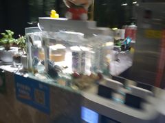 -渝半城经典川粤菜(重庆天地店)