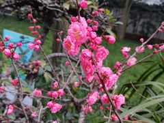 -成都杜甫草堂博物馆