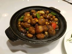 小茨菇炖五花肉-赛百味(仙林金鹰店)