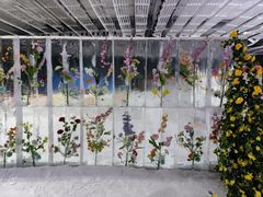 -宁波冰雪大世界(北仑区)