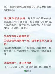 -雅曼妮spa美容养生